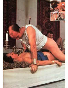 Flesh 7 Good used condition 2