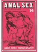 Anal Sex 14 (taped cover)
