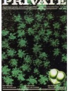 Private 20 - Presented in fantastic new condition