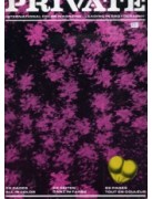 Private 21 - Presented in fantastic new condition