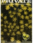 Private 22 - Presented in fantastic new condition