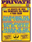 Private 95 - Presented in fantastic new condition